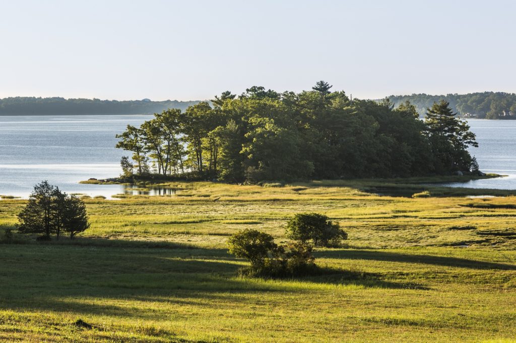 The Nature Conservancy's Lubberland Creek Preserve on the shores of Great Bay in Newmarket, New Hampshire.