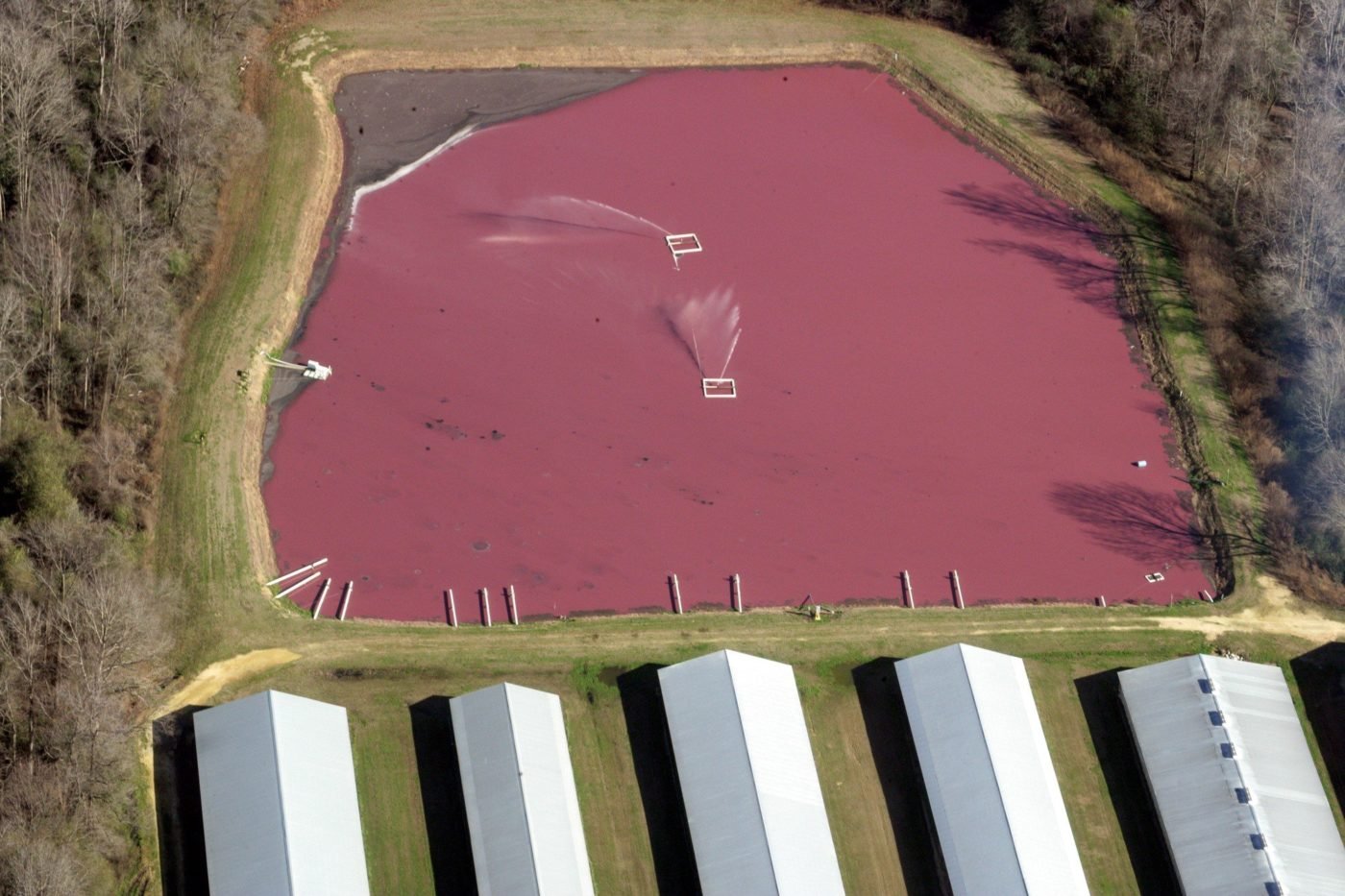 don-t-let-cafos-hide-their-pollution-dive-into-democracy-waterkeeper