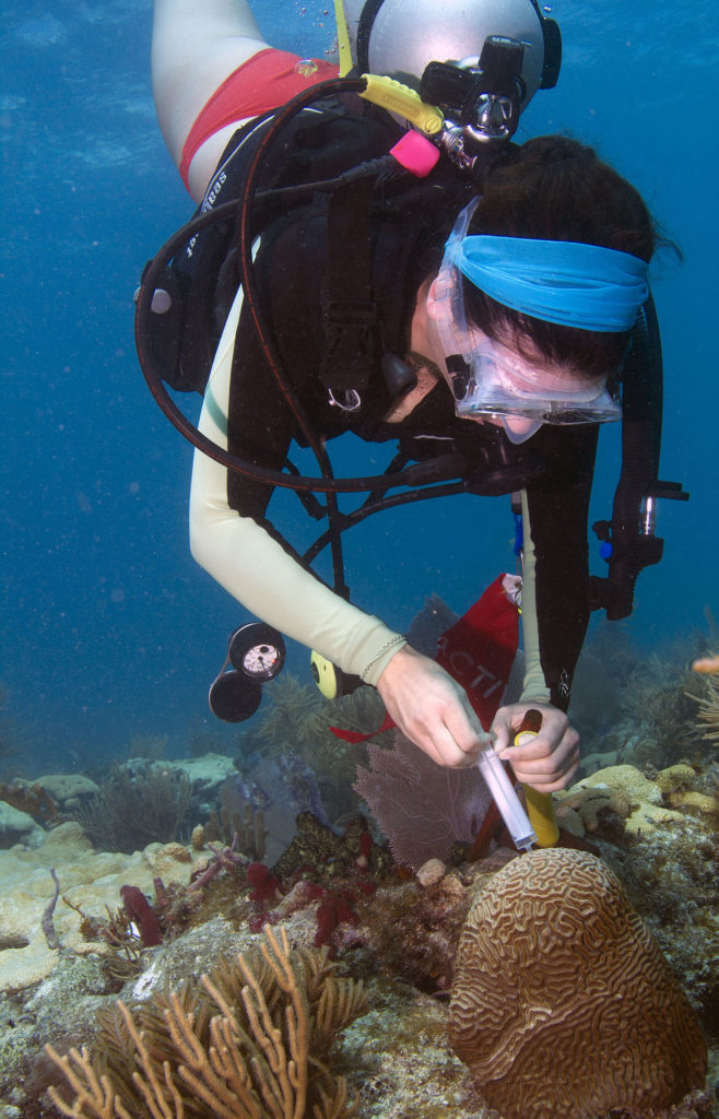 Rachel continuing to collect coral samples. 