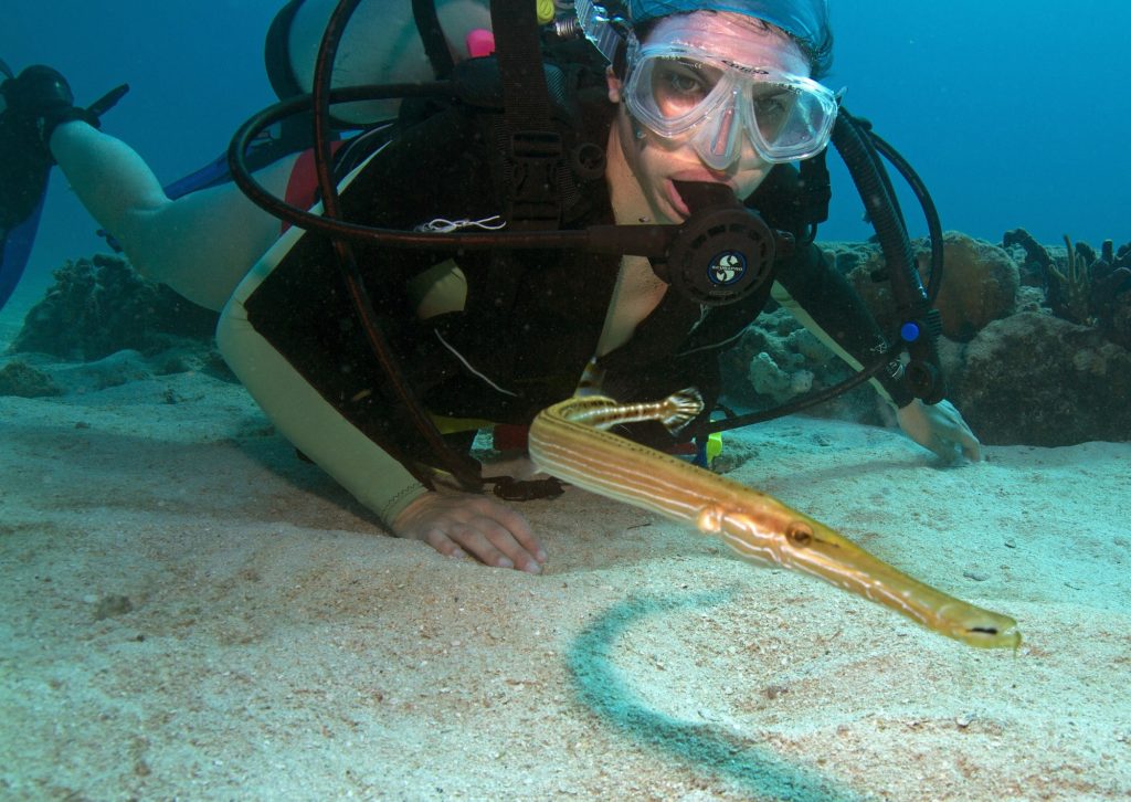 Silverstein demonstrating how to take tissue samples of corals with a syringe for genetic analysis of the reefs near Key Biscayne. Below; a trumpet fish shares the ocean floor with Silverstein. 