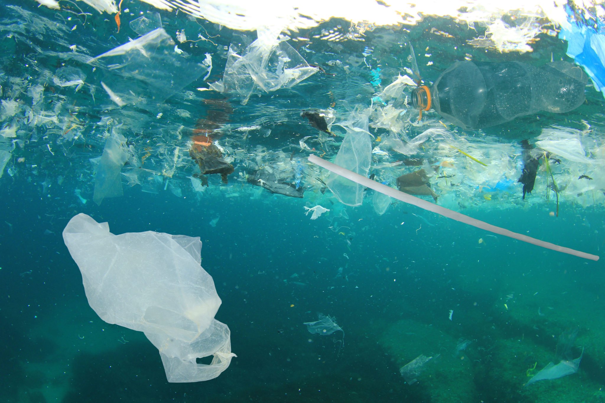 tell-congress-it-s-high-time-to-break-free-from-plastic-waterkeeper