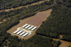 Image en vedette: Vue aérienne d'une exploitation animale industrielle pendant l'ouragan Matthew.