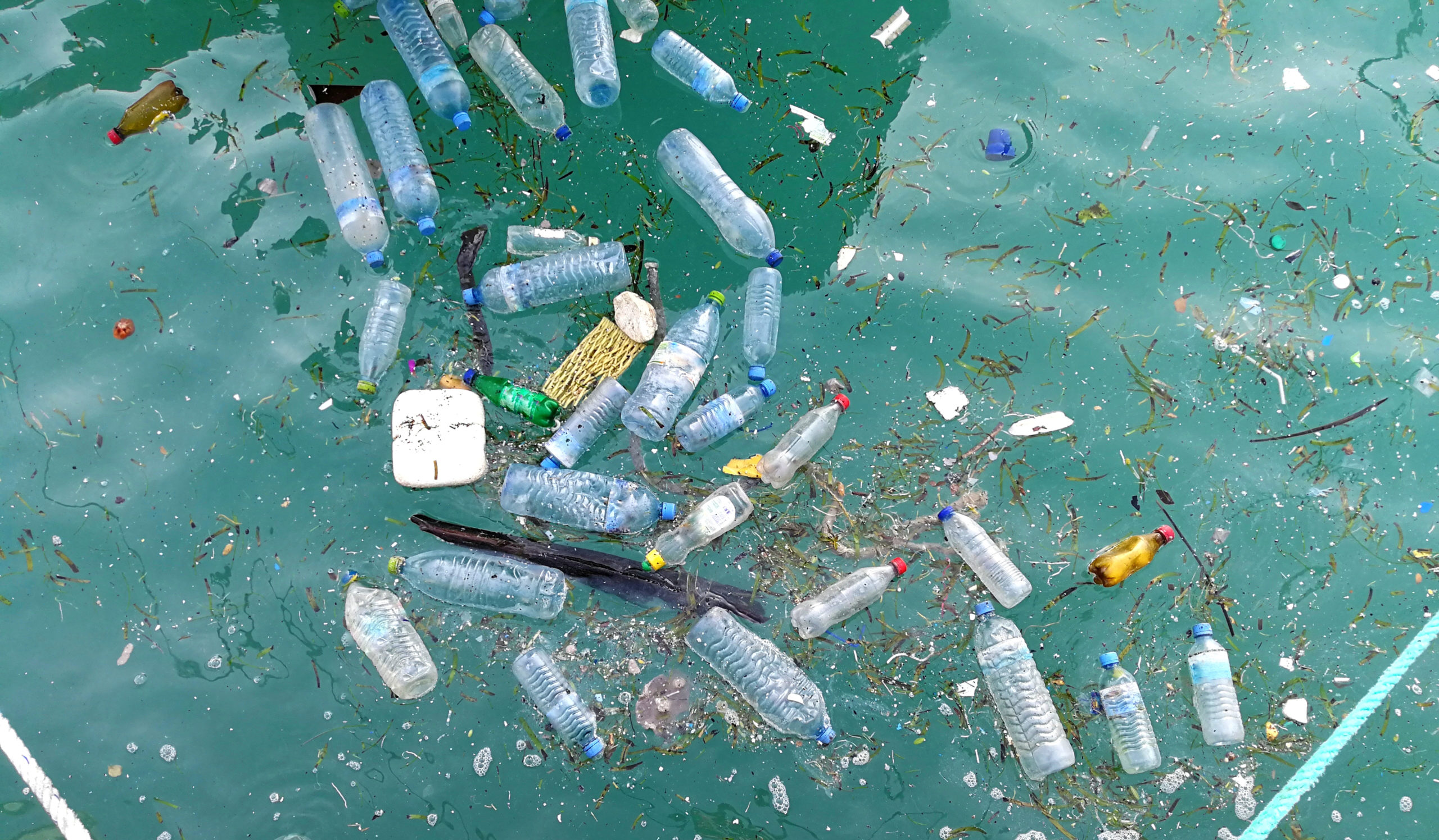 塑料水瓶漂浮在水中