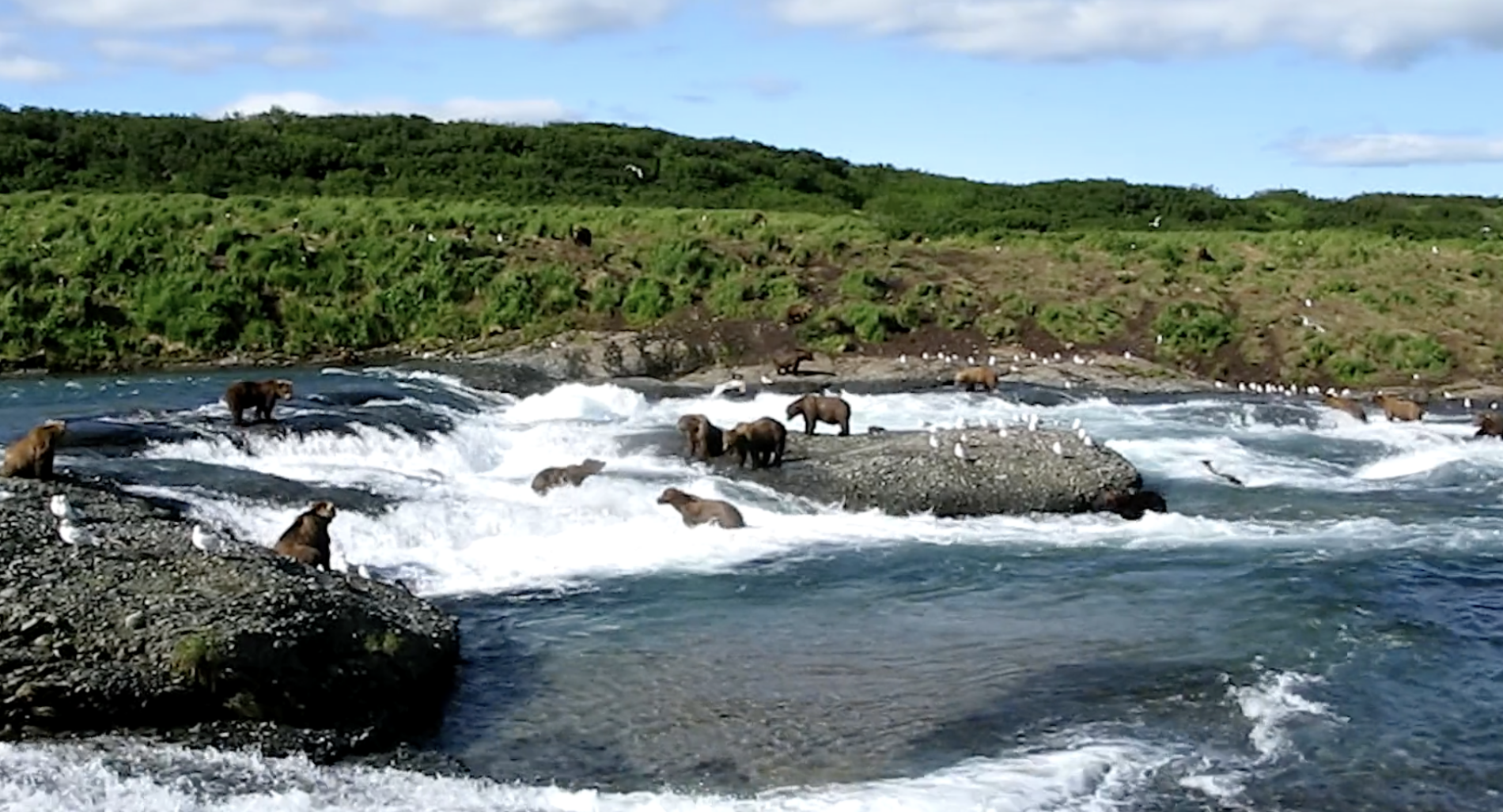 Waterkeeper Alliance Celebrates EPA’s Decision To Veto Pebble Mine And ...